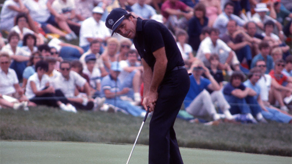 Gary Player image